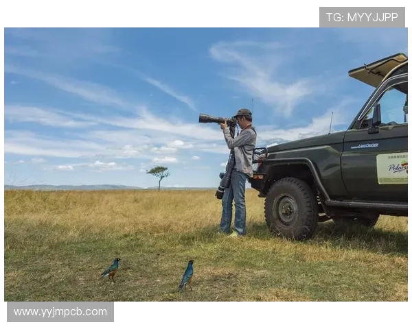 哈基姆·奥拉朱旺：从非洲草原到NBA巅峰的传奇之路